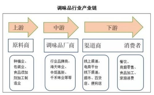 投资决策关键，行情观察与决策逻辑解析