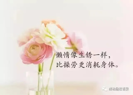 励志心灵鸡汤来袭，给同学的温暖安慰语句