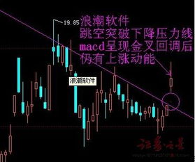 浪潮软件股票，行业趋势与公司前景深度解析