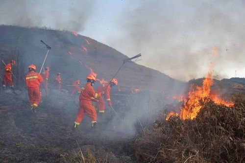 长寿地区突发山火原因，重庆长寿自然火在什么地方 