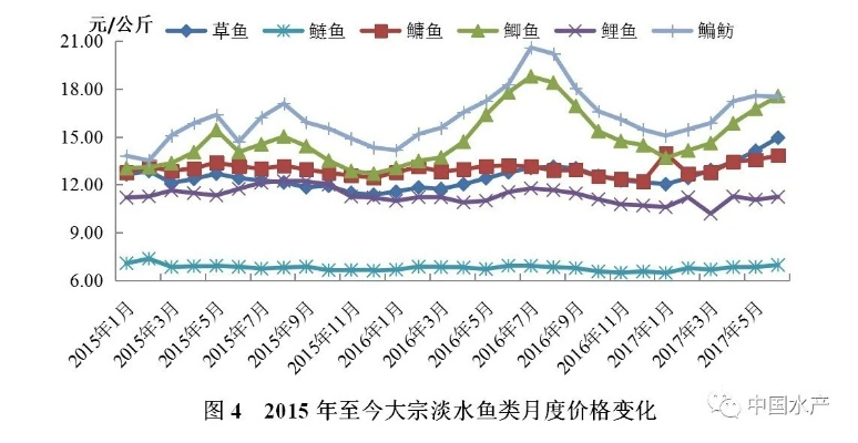 渔线市场深度解析，价格走势与影响因素探讨