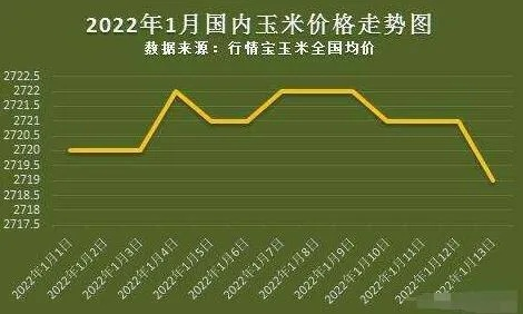 周最新玉米行情，市场走势、价格动态及未来展望分析