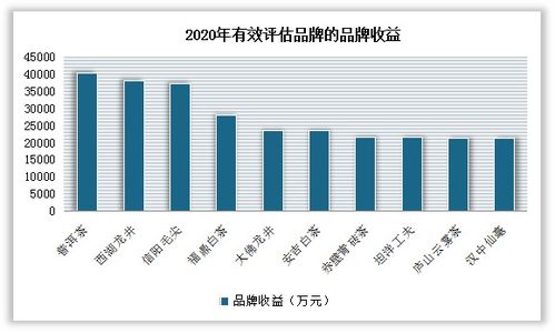 绿化砖价格深度解析，市场趋势与影响因素探讨