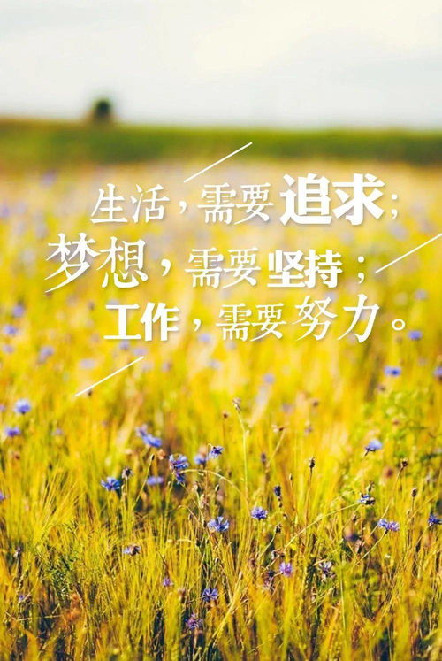 励志语录，唯美歌曲中的力量之源