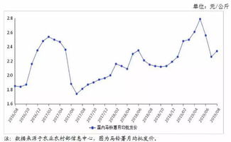 海口新会柑嫁接苗市场走势分析