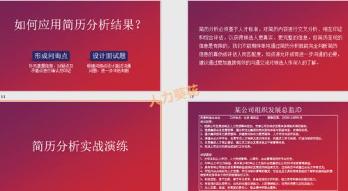 明星招募助理全攻略，从选人到管理的实用指南