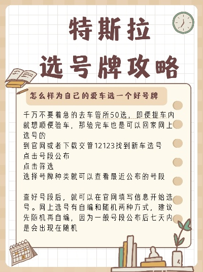 天津特斯拉车主必看，最新选号攻略指南