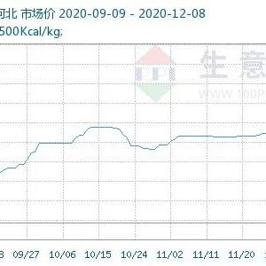 今日煤市行情深度解析，最新报价及走势展望