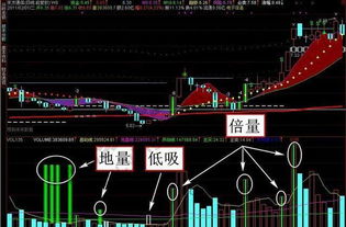 揭秘股市新星，探究代码为002042股票的投资价值。