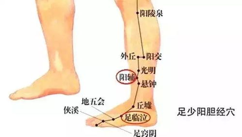 揭秘脚背红肿痛真相，成因、诊断与治疗方法全解析