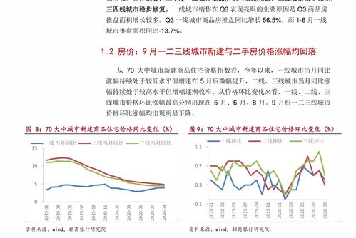 海南玉豆价格今日行情更新！最新动态揭秘！