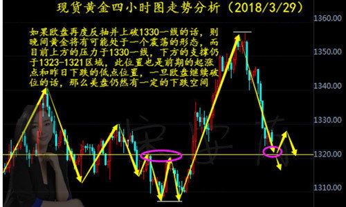 今日洋葱价格走势揭秘，最新报价及市场影响因素深度解析