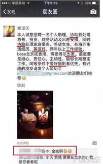 揭秘明星助理背后的故事与真相，助理攻背后的真相解析