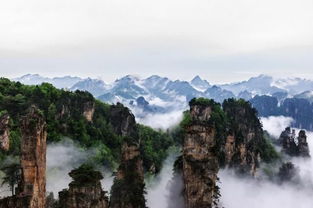 重庆至南川金旅游全攻略，畅游美景，尽享盛宴！