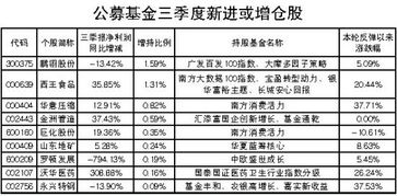 信宜中巴票价最新更新查询表揭秘！