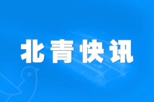 东莞新闻头条速递，城市脉搏不停歇