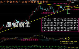 投资领域最新动态速递，今日热点消息一网打尽！