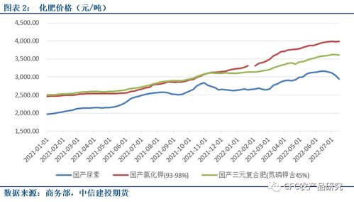 红丽粉市场深度解析，价格走势、品质差异及影响因素探讨