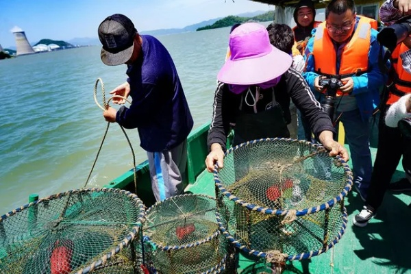 宁海湾横山捕鱼新探，最新捕鱼地点图揭秘