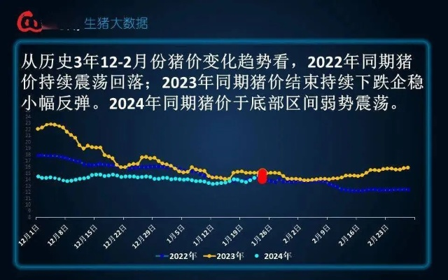 猪肉价格行情深度解析，历史走势与未来趋势展望