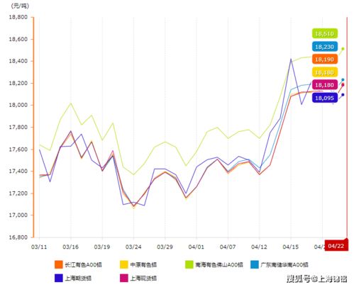 广东纸皮今日行情分析，最新价格动态一网打尽