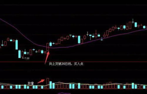 全国最贵股票揭秘，资本市场巅峰之作的探秘之旅