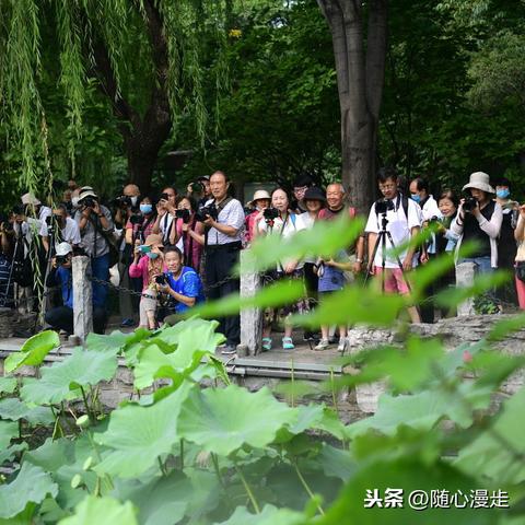 济南游玩攻略，游船漫游泉城美景