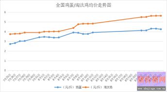 湖北淘汰鸡价格走势深度解析