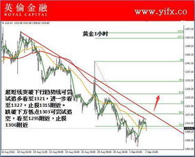 贵金属行情解读，今年市场走势及前景展望深度剖析