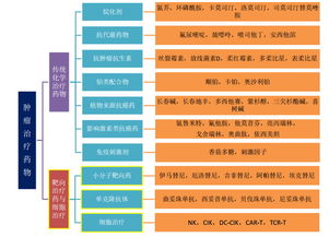 兰州心如意价格揭秘，深度解析与全方位解读指南