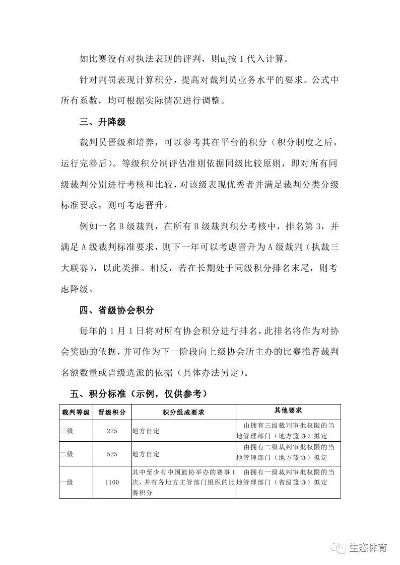 篮球比赛评分表，构建公正合理的比赛评价体系，助力赛事公平竞技！