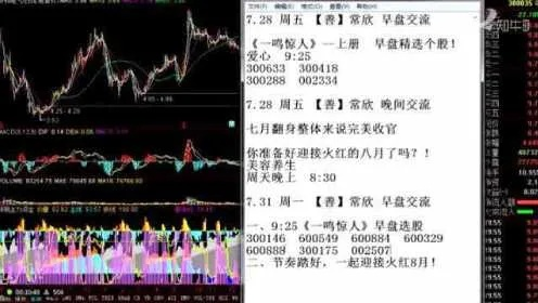 揭秘2011年投资股票秘籍，策略分析与投资指南