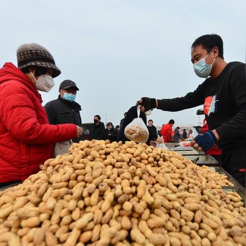 今日花生价格行情深度解析