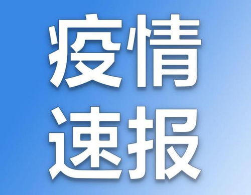 邳州最新快报，今日要闻速递