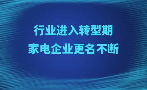 不断充实我市企业库，企业不断完善 