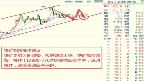 福州鸭蛋价格走势揭秘，最新行情分析与市场趋势预测