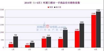 厦门物流股票，市场潜力与投资机会解析