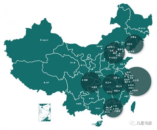 阜阳网络公司排名大揭秘，谁是领头羊？