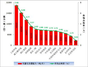 造粒机行业排名揭秘，企业影响力与市场份额解析