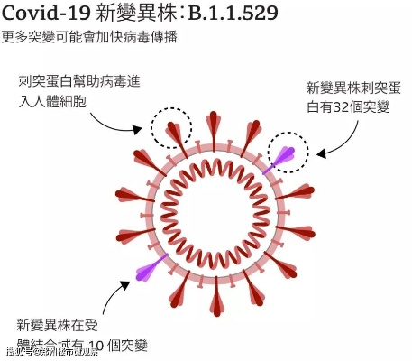 病毒不断更新，病毒更新换代 