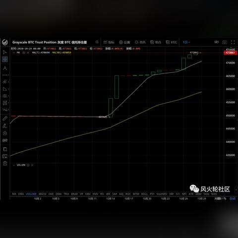 灰度基金最新持仓分析报告，今日投资布局揭秘