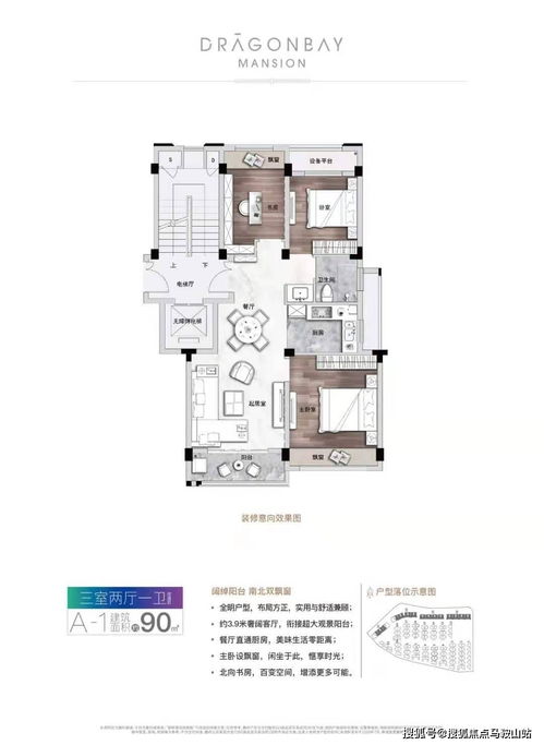 高密领养基地探秘，最新领养攻略全解析