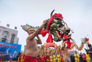 湘潭龙船最新动态揭晓，今日消息一网打尽