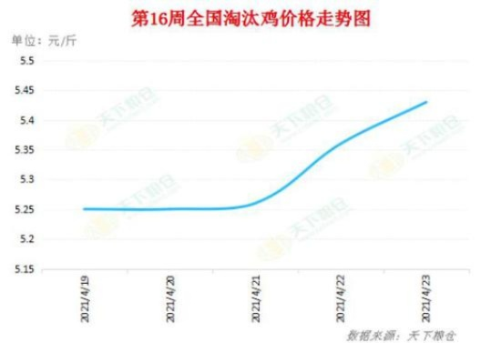 鸡嗉子价格走势揭秘，市场现状、影响因素与未来趋势分析