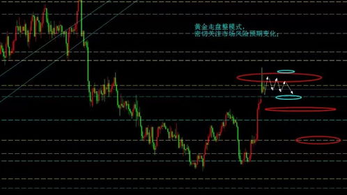 金条最新报价与市场走势分析，今日投资指南