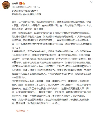 抄袭者明星背后的反思，行业乱象与启示