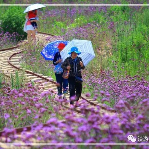 昆明旅游攻略大揭秘，预算、景点一网打尽！