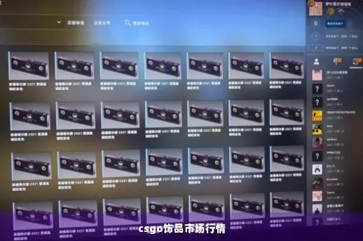 CSGO饰品价格查询全面解析，掌握最新饰品市场动态