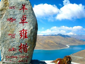 太谷旅行攻略大全，最新、最全面的旅行指南！