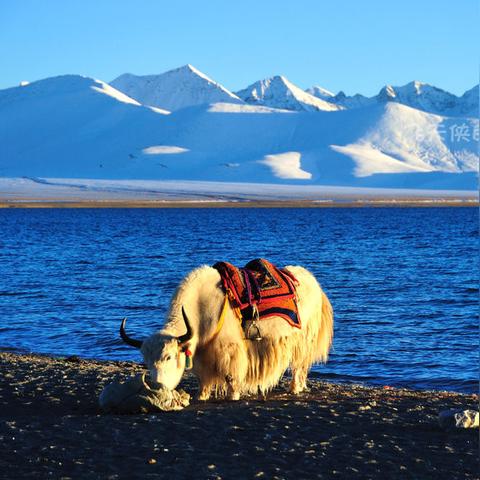 西藏天湖美景尽收眼底，一份详尽旅游攻略